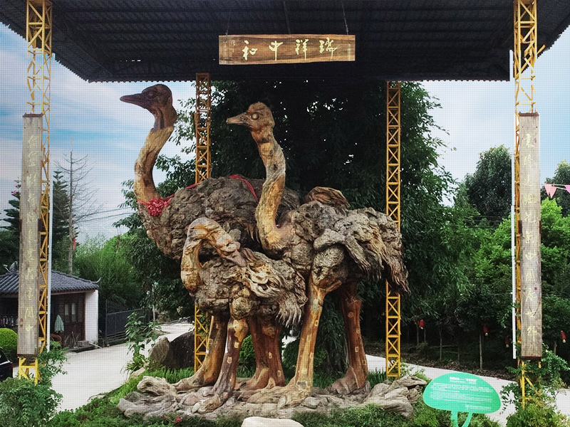 腾冲鸵鸟庄园